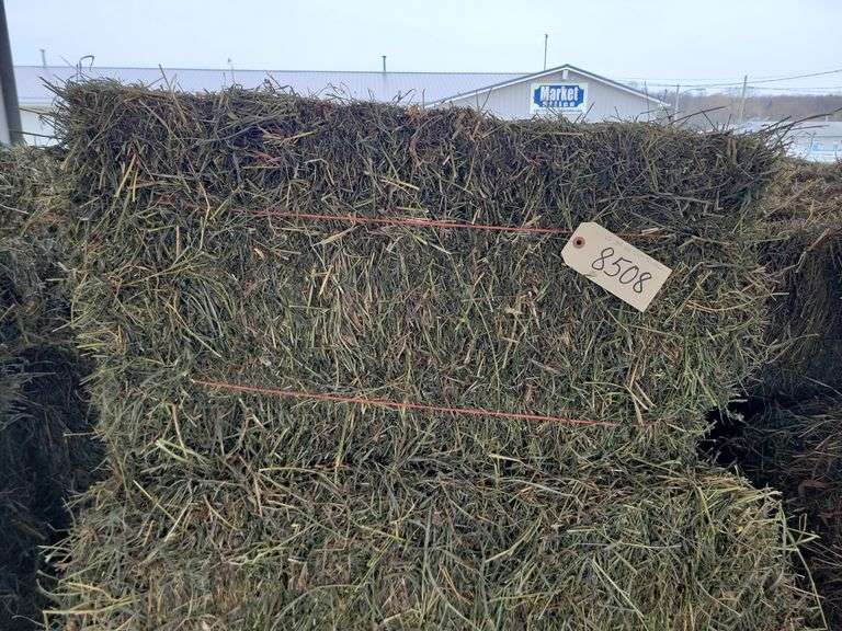 15 3rd Alfalfa Orchard Grass Timothy Mix