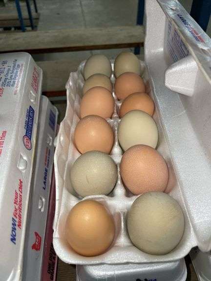 3 Doz Mixed Eating Eggs