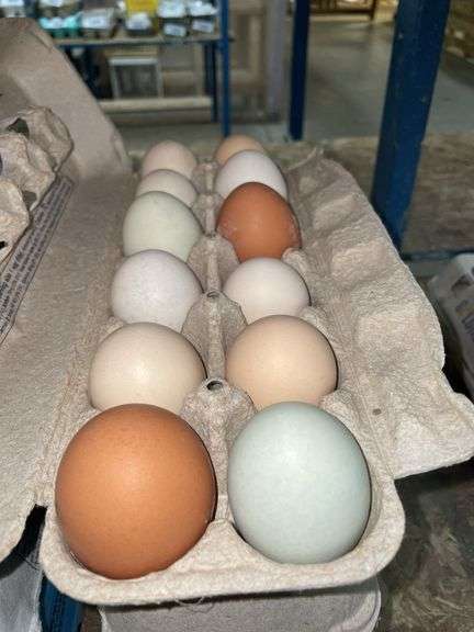 4 Doz Mixed Eating Eggs