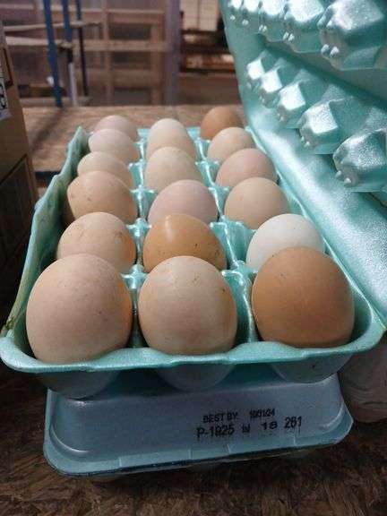 3 Doz Brown Eating Eggs