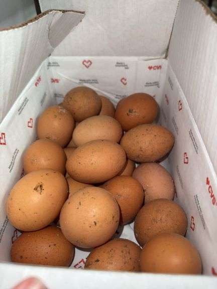 2 Doz Xlarge Brown Eating Eggs