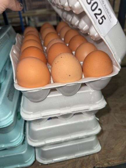 6 Doz Xlarge Brown Eating Eggs