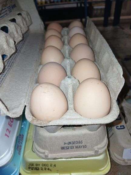 3 Doz Brown Eating Eggs
