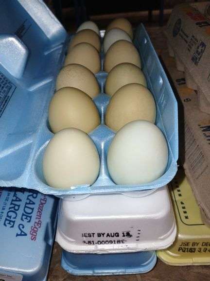 3 Doz Green Eating Eggs