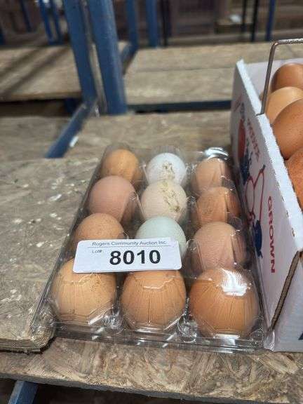 1 Doz Mixed Eating Eggs