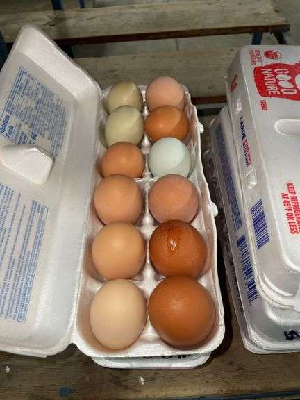 3 Doz Mixed Eating Eggs