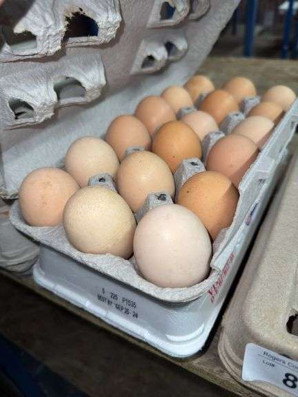 3 Doz Large Brown Eating Eggs