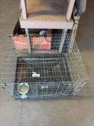 Wire Rabbit Cage w/ Tray - Rogers Community Auction Inc.