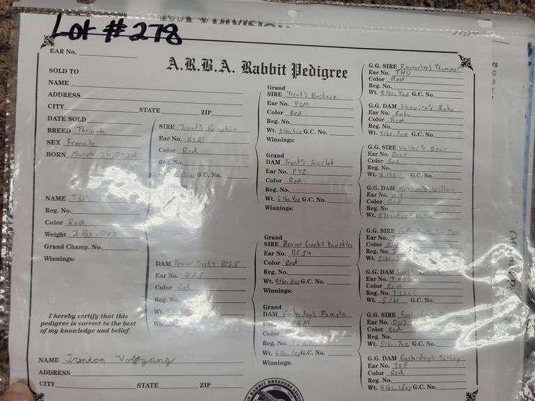 Proven Thriantra Doe w/ Pedigree