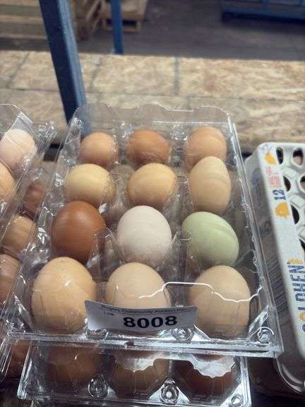 3 Doz Brown Eating Eggs