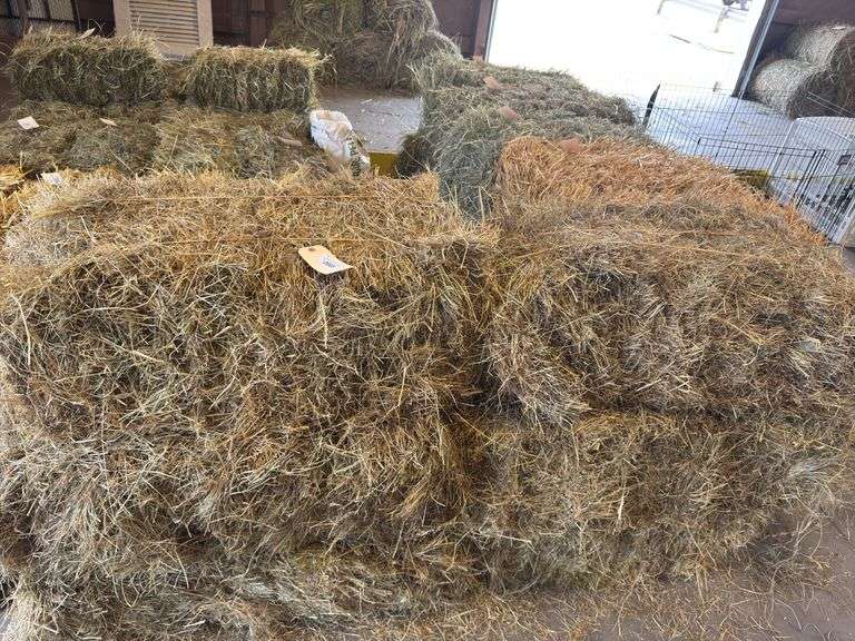 6 Bales 2024 1st Cut Mix