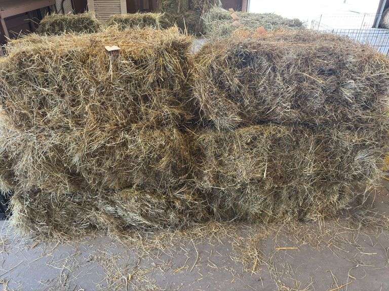 6 Bales 2024 1st Cut Mix