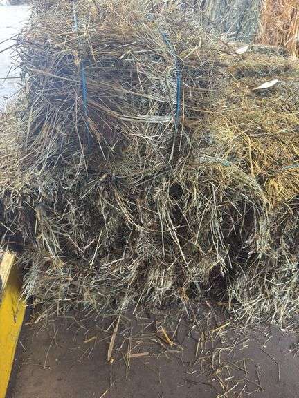 5 Mini Bales 1st Cut Mixed Hay (2025)