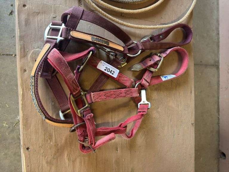 2 Horse Halters