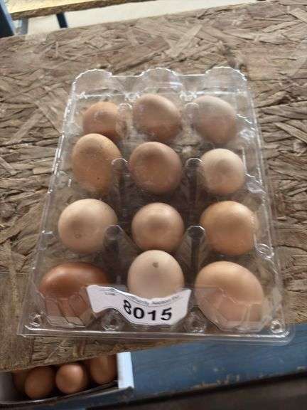 3 Doz Brown Eating Eggs