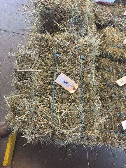 5 Mini Bales 1st Cut Mixed Hay (2025)