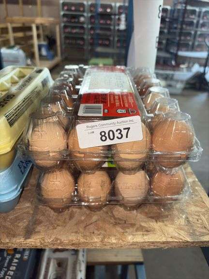 4 Doz Large Eating Eggs - Unwashed