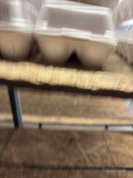 2 Doz Large Brown Eating Eggs