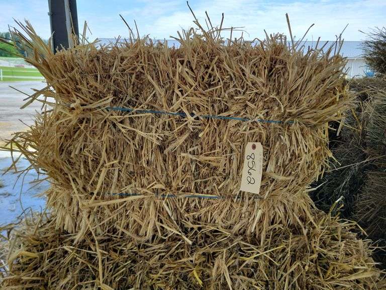 12 Rye Straw