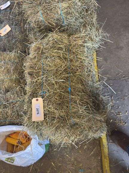 5 Mini Bales 1st Cut Mixed Hay (2025)