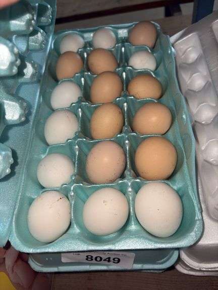 1.5 Doz Small Eating Eggs - Unwashed