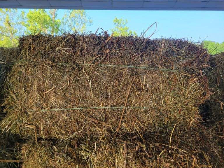 15 Rye Grass & Winter Wheat Straw