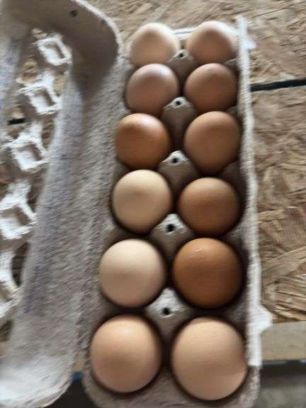 2 Doz Large Brown Eating Eggs