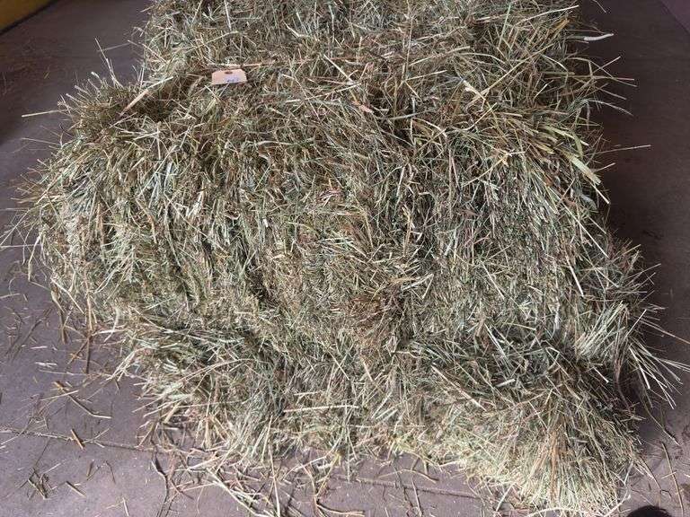 2 Bales 1st Cut Grass (2025)