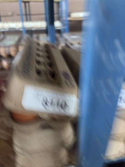 3 Doz Brown Pullet Eating Eggs
