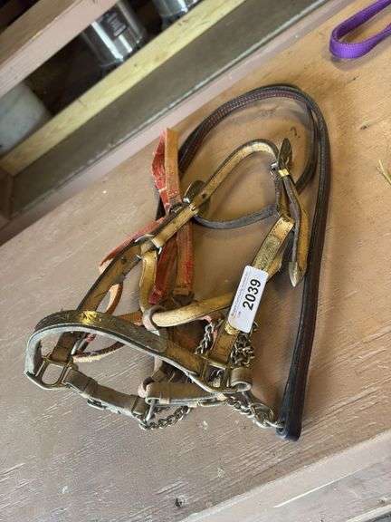 Pony Show Halter w/ Lead & Extra Halter