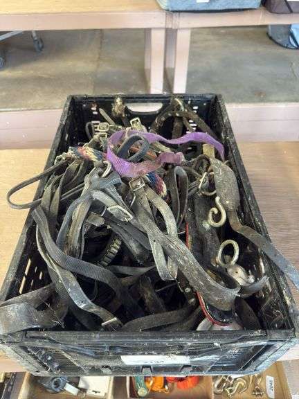 Lot of Horse Tack & 2 Mini Driving Harnesses