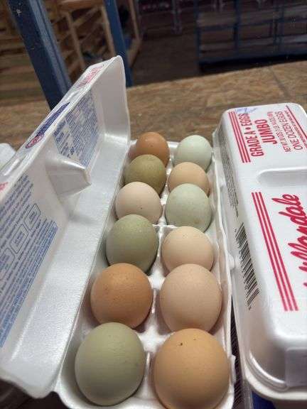 2 Doz Large Mixed Eating Eggs