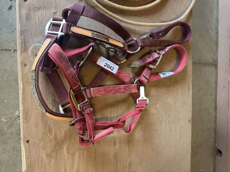 2 Horse Halters