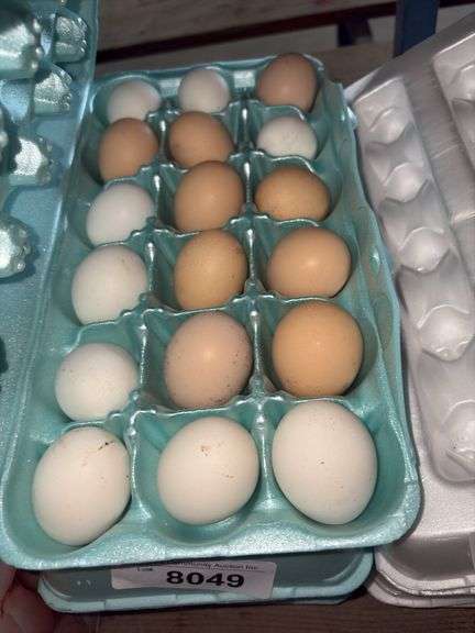 1.5 Doz Small Eating Eggs - Unwashed
