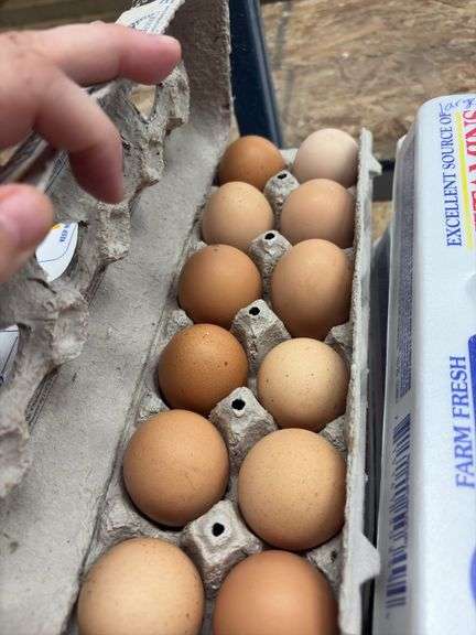 2 Doz Large Brown Eating Eggs