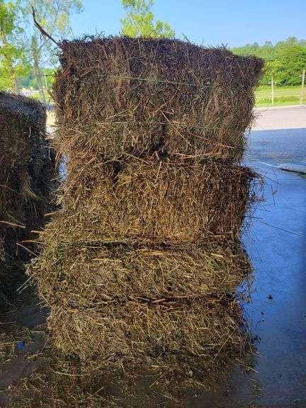 15 Rye Grass & Winter Wheat Straw