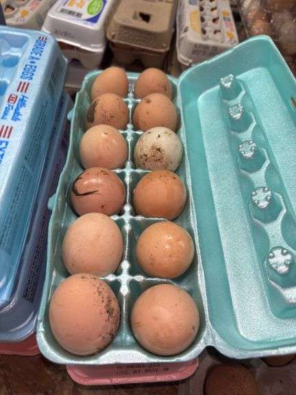 3 Doz Brown Eating Eggs
