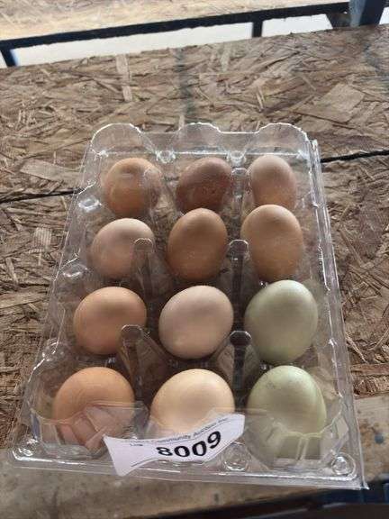 3 Doz Brown Eating Eggs