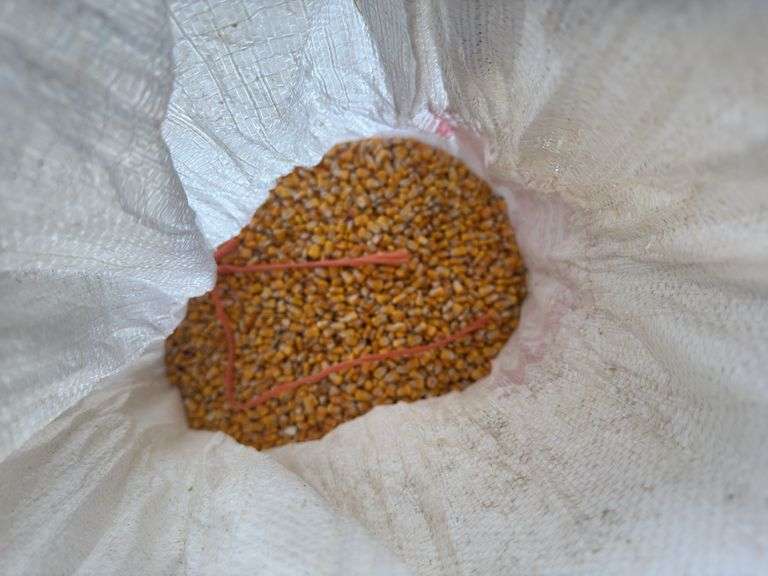 Bag of Shelled Corn - Approx. 28lbs