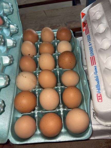 1.5 Doz Large Eating Eggs - Unwashed