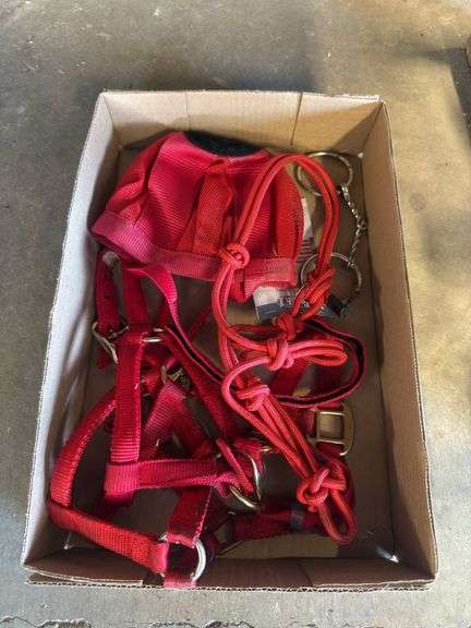 Mini Horse Tack - 3 Halters, Grazing Muzzle & Misc