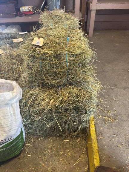 5 Mini Bales 1st Cut Mixed Hay (2025)