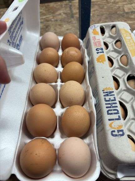 2 Doz Large Brown Eating Eggs