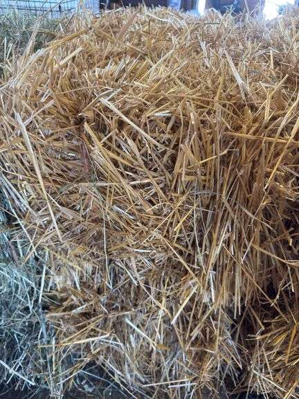 2 Bales Straw
