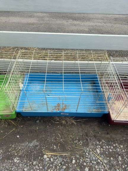 Blue Bottom Rabbit Cage