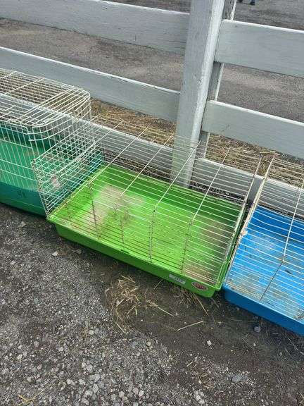 Green Bottom Rabbit Cage