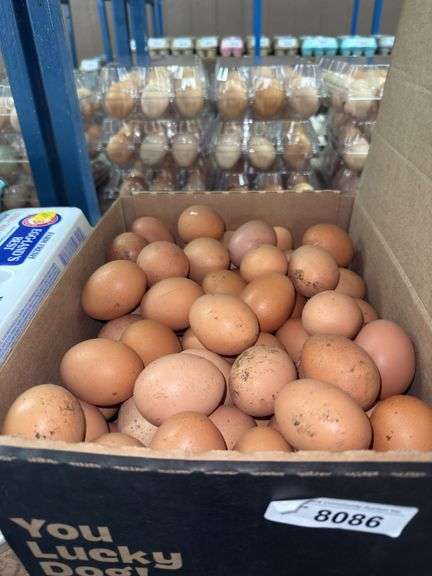 7 Doz Xlarge Brown Eating Eggs