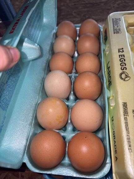 4 Doz Large Eating Eggs - Unwashed