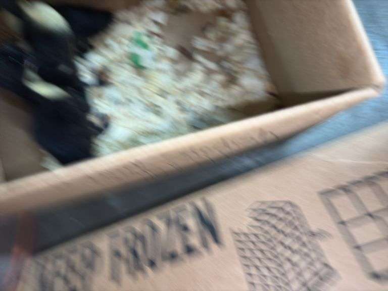 10 Bobwhite Quail - 2 Wks Old w/ Permit