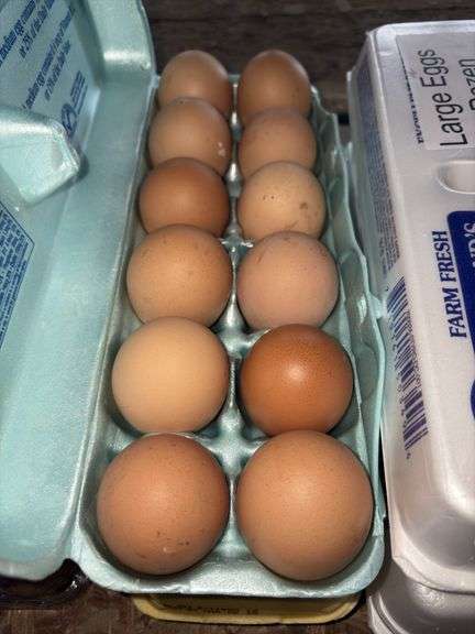 4 Doz Large Eating Eggs - Unwashed